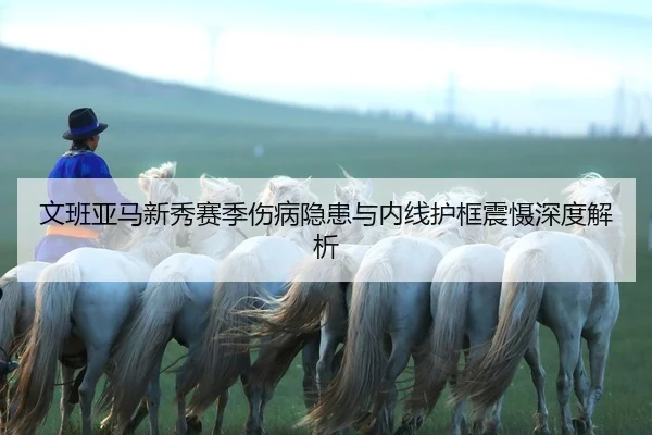 wen-ban-ya-ma-xin-xiu-sai-ji-shang-bing-yin-huan-yu-nei-xian-hu-kuang-zhen-she-shen-du-jie-xi-2-146.jpg