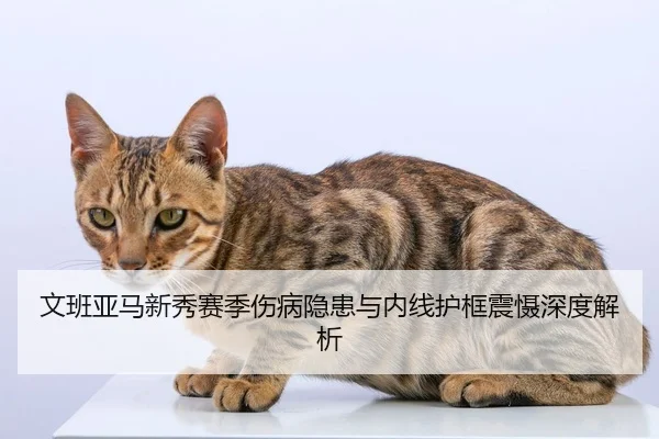 文班亚马新秀赛季伤病隐患与内线护框震慑深度解析