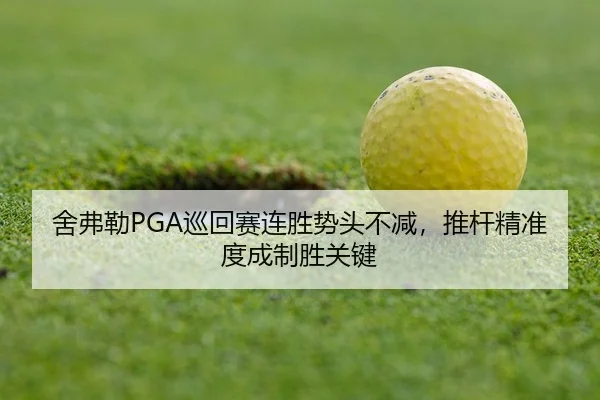 she-fu-lei-xun-hui-sai-lian-sheng-shi-tou-bu-jian-tui-gan-jing-zhun-du-cheng-zhi-sheng-guan-jian-3-699.jpg