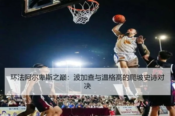 环法阿尔卑斯之巅：波加查与温格高的爬坡史诗对决