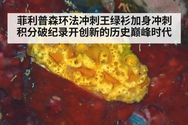菲利普森环法冲刺王绿衫加身冲刺积分破纪录开创新的历史巅峰时代